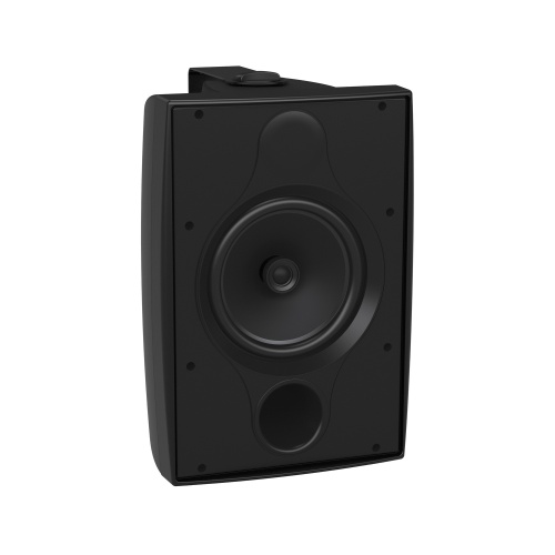 TANNOY DVS 8 фото 2