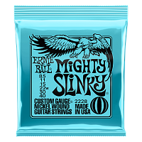 ERNIE BALL P02228